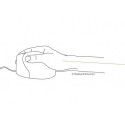 BakkerElkhuizen Evoluent3 Mouse (Right Hand)