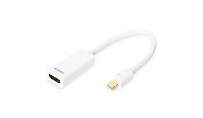 Digitus DisplayPort Adapter / Converter
