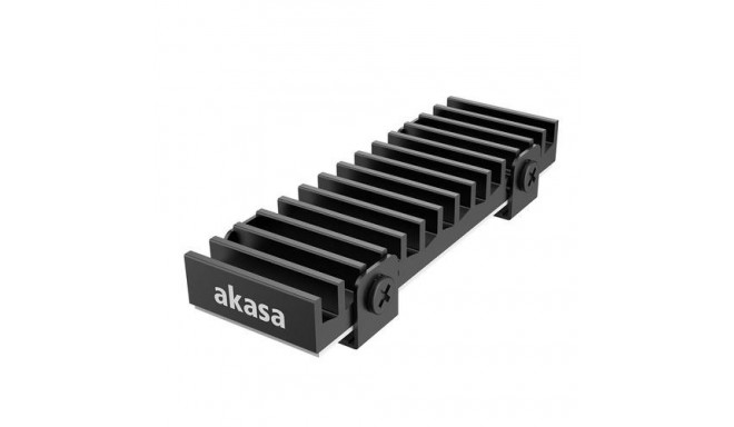 Akasa Gecko Pro Solid-state drive Heatsink/Radiator Black 1 pc(s)