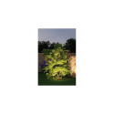 Paulmann 939.34 Outdoor floor lighting LED 43 W