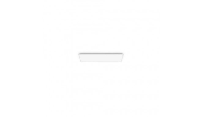 Philips Functional Panel Ceiling Ceiling Light 36 W Rectangular