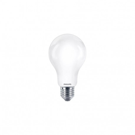 Philips Filament Bulb Frosted 150W A67 E27