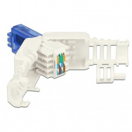 DeLOCK 86417 wire connector RJ-45 Blue, White