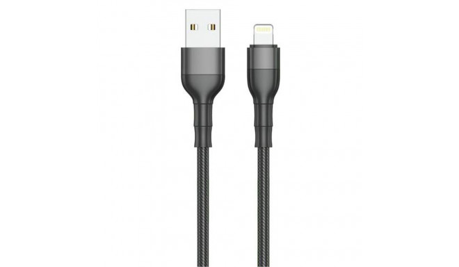 2GO 797305 lightning cable 1 m Black
