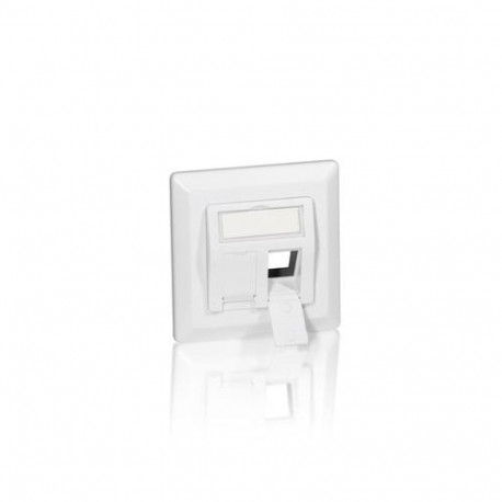 Equip 2-Port German Faceplate