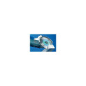 PFERD 68000042 angle grinder accessory