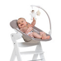Hauck ALPHA BOUNCER DELUXE baby rocker/bouncer Grey