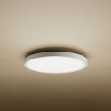 Xiaomi Smart Ceiling Light D30 30W