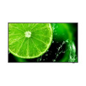 NEC MultiSync E438 Digital signage flat panel 108 cm (42.5&quot;) LCD 350 cd/m² 4K Ultra HD Blac
