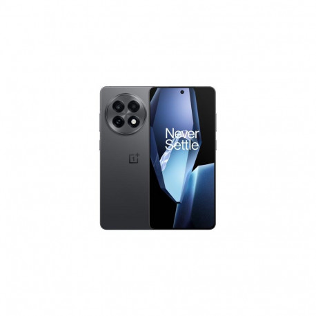 OnePlus 13R 17.2 cm (6.78") Dual SIM Android 15 5G USB Type-C 12 GB 256 GB 6000 mAh Black