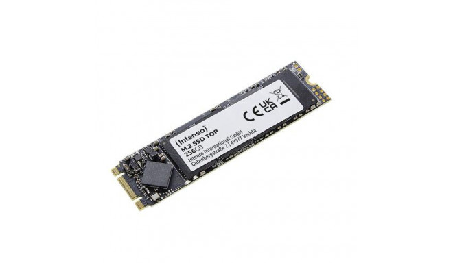 Intenso Top M.2 256 GB Serial ATA III