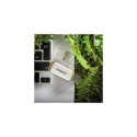 Intenso Green Line USB flash drive 64 GB USB Type-A 3.2 Gen 1 (3.1 Gen 1) Beige, Brown