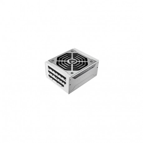 COUGAR Gaming POLAR power supply unit 1050 W 20+4 pin ATX ATX Silver