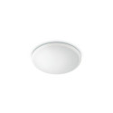 Philips Wawel Ceiling Light 17 W