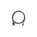 Ugreen 30104 HDMI cable 3 m HDMI Type D (Micro) HDMI Type A (Standard) Black