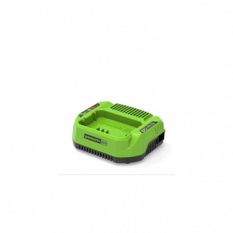 Greenworks 2932007 cordless tool battery / charger Battery charger