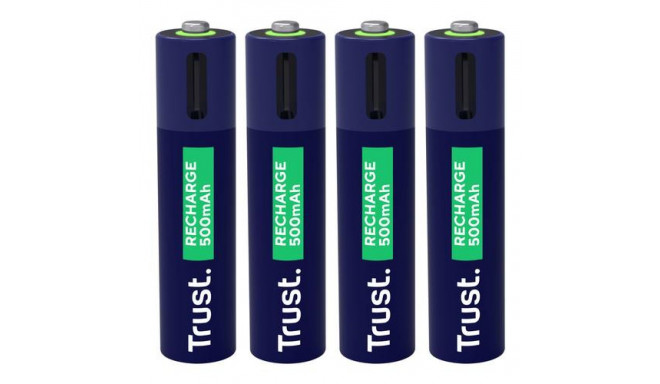 Trust 25671 household battery Rechargeable battery AAA