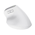 Trust Bayo+ mouse Office Right-hand RF Wireless + Bluetooth Optical 2400 DPI