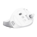 Trust Bayo+ mouse Office Right-hand RF Wireless + Bluetooth Optical 2400 DPI