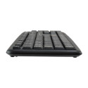 Equip 245201 keyboard Mouse included Office USB QWERTY Spanish Black