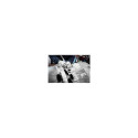 PFERD 21211023 rotary burr 1 pc(s)