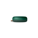 Bang &amp; Olufsen Beosound A1 2nd Gen Green