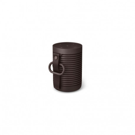Bang & Olufsen BeoSound Explore Brown 60 W