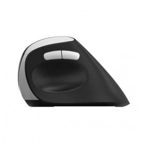 Rapoo EV250 mouse Office Right-hand RF Wireless Optical 1600 DPI