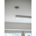 Brennenstuhl RM L 3101 Carbon monoxide detector Interconnectable Wireless