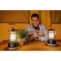 Brennenstuhl CAL 1 Black, Wood Hand flashlight LED