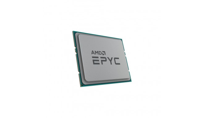 AMD EPYC 7302P processor 3 GHz 128 MB L3 tray