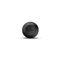 Garmin Approach CT10