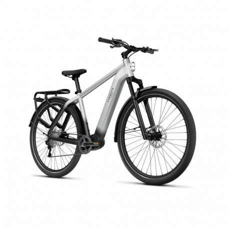 Elektrijalgratas TENWAYS AGO X, 29" Gradient Silver, 50 cm L