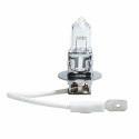 Halogeenpirn M-Tech Z3 H3 12V 55W PK22S Halogeen H1 55 W PK22S 12 V
