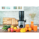 "78275 Slow Juicer Sam"
