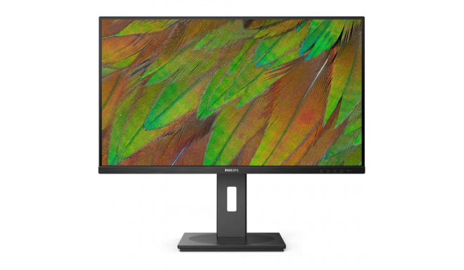 "Philips 80.0cm (31.5"") 32B1N3800 16:09 HDMI+DP+USB black"