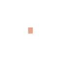 E.Lauder Double Wear Stay In Place Makeup SPF10 (30ml)