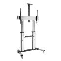 Techly ICA-TR24 telerikapp/meelelahutuskeskus 1 riiuliga