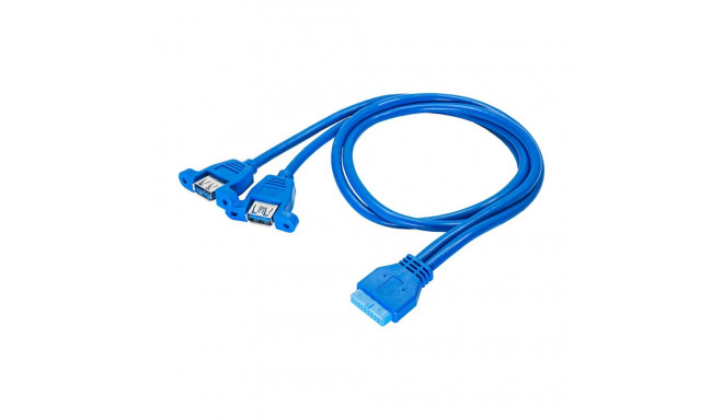 Adapter with cable Akyga AK-CA-62 2x USB A 3.0 A (f) | USB 19 pin (f) 65cm
