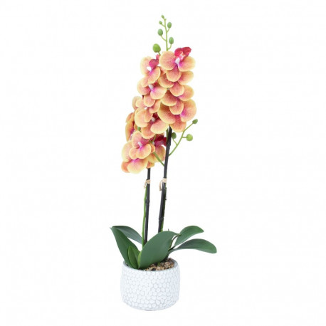 Orchid GARDEN QUEEN H40cm, yellow