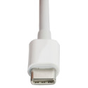 Adapter USB Datacolor USB-C - USB Biały  (SUSBC100)