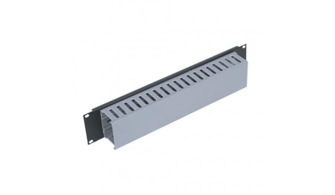 Triton 19&quot; panel 2U with cable trunking