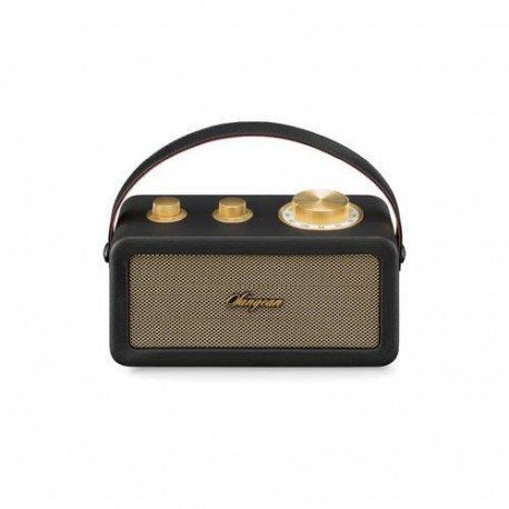 Sangean RA-101 Portable Analog Black, Gold