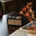 Sangean RA-101 Portable Analog Black, Gold
