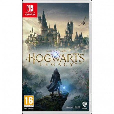 Warner Bros Hogwarts Legacy Standard Nintendo Switch