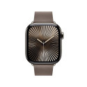 Apple 42mm Dark Taupe Modern Buckle - Large