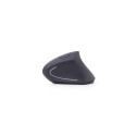 Gembird MUSW-ERGO-01 mouse Office Right-hand RF Wireless Optical 1600 DPI