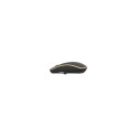 Gembird MUSW-4B-06-BG mouse Office Ambidextrous RF Wireless Optical 1600 DPI