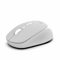 Inca IWM-243RG mouse Ambidextrous Gaming RF Wireless Optical 1600 DPI