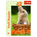 TREFL Mini 54 pusle Armsad loomad